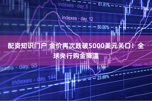 配资知识门户 金价再次跌破5000美元关口！全球央行购金降温