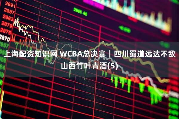 上海配资知识网 WCBA总决赛｜四川蜀道远达不敌山西竹叶青酒(5)